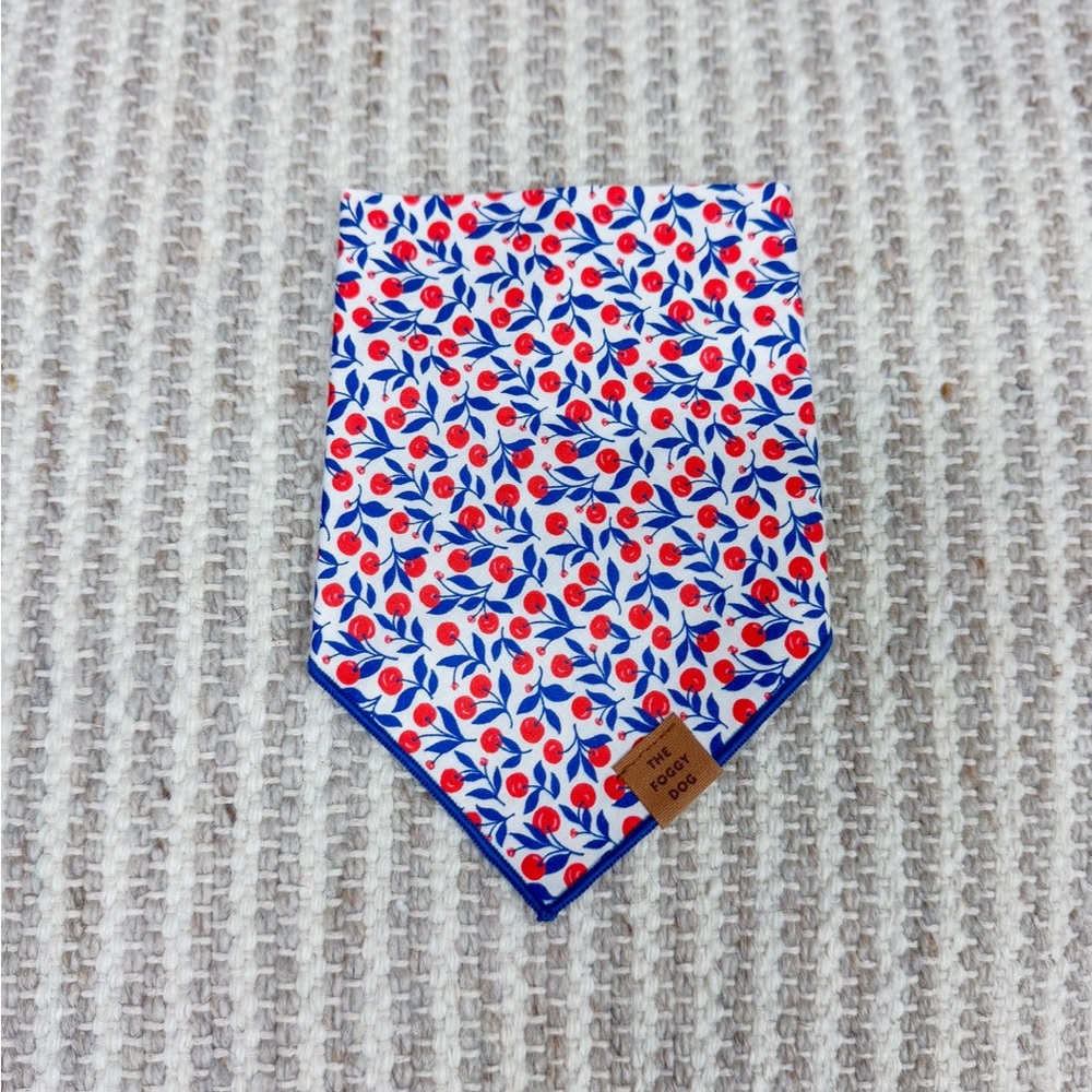 The Foggy Dog Red and Blue Floral Bandana
